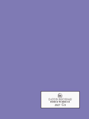 2027 Q3 Workbook: Purple Rain Cover